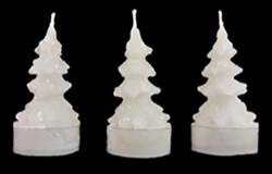 Evergreen Trees (Small) candles, 4 solid colours, set of 3, fragrance free only - Fanny Bay Candle Company
