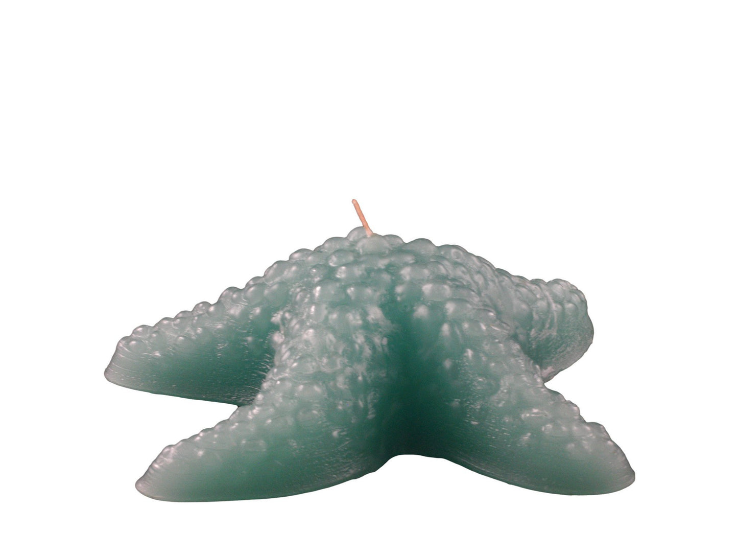 Starfish, 25 Solid Colours, 7 1/2"D x 3"H, fragrance free - Fanny Bay Candle Company