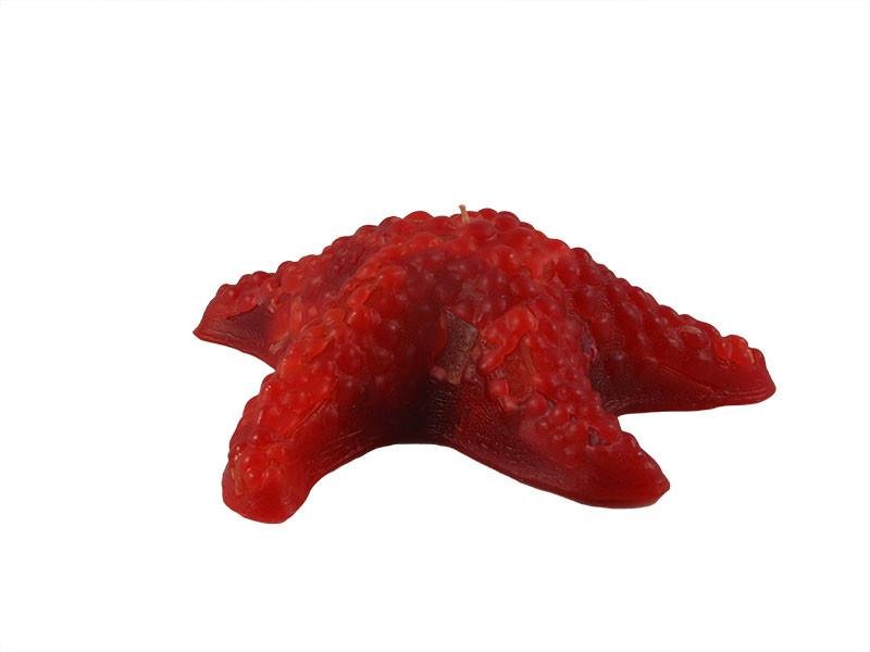 Starfish, 25 Solid Colours, 7 1/2"D x 3"H, fragrance free - Fanny Bay Candle Company