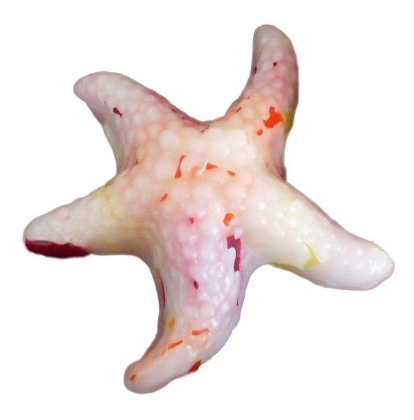 Starfish, Chunky Glimmer, 6 colour patterns, fragrance free only - Fanny Bay Candle Company