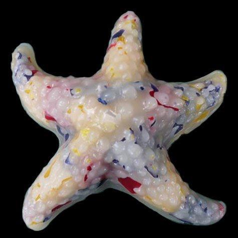Starfish, Chunky Glimmer, 6 colour patterns, fragrance free only - Fanny Bay Candle Company