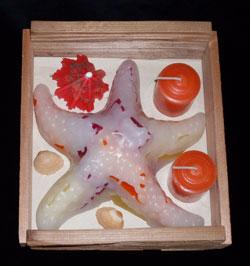 Starfish Gift Box, Chunky Glimmer, fragrance free - Fanny Bay Candle Company