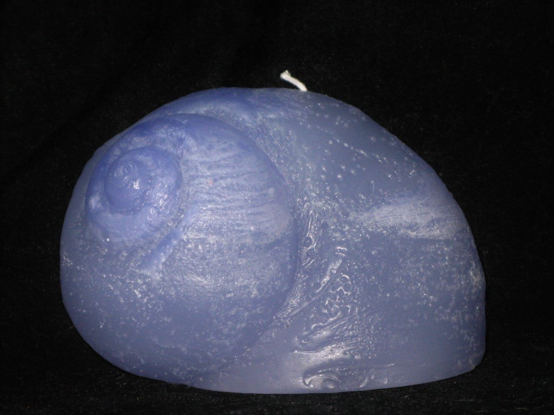 Tree Island Moon Snails, 8 colour patterns, 4"D x 2 1/2"H, fragrance free only - Fanny Bay Candle Company